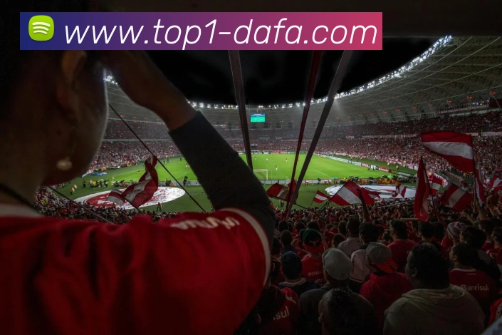 大发官网APP 高清赛事图